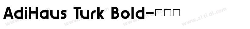 AdiHaus Turk Bold字体转换
